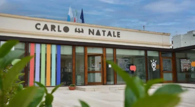 Attività Biblioteca
